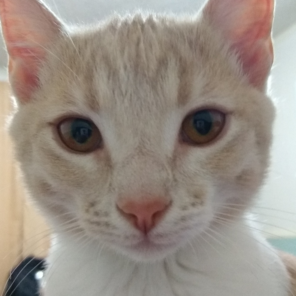 Meet your Posher, Tina